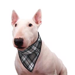 Cool Bandana Aqua Coolkeeper Design Scottish Grey